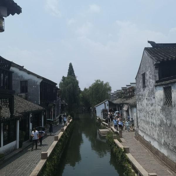 逃出猫头鹰岛